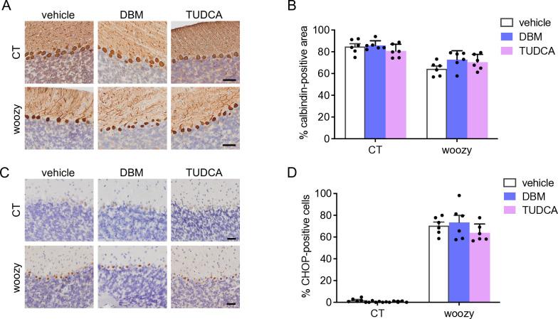 https://cdn.ncbi.nlm.nih.gov/pmc/blobs/291c/11729928/4e0b6d6b7307/pone.0317404.g009.jpg