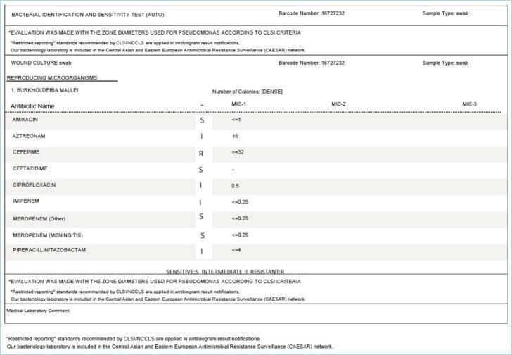 https://cdn.ncbi.nlm.nih.gov/pmc/blobs/2921/11249987/2c5ab000e602/SEMB-58-258-g003.jpg