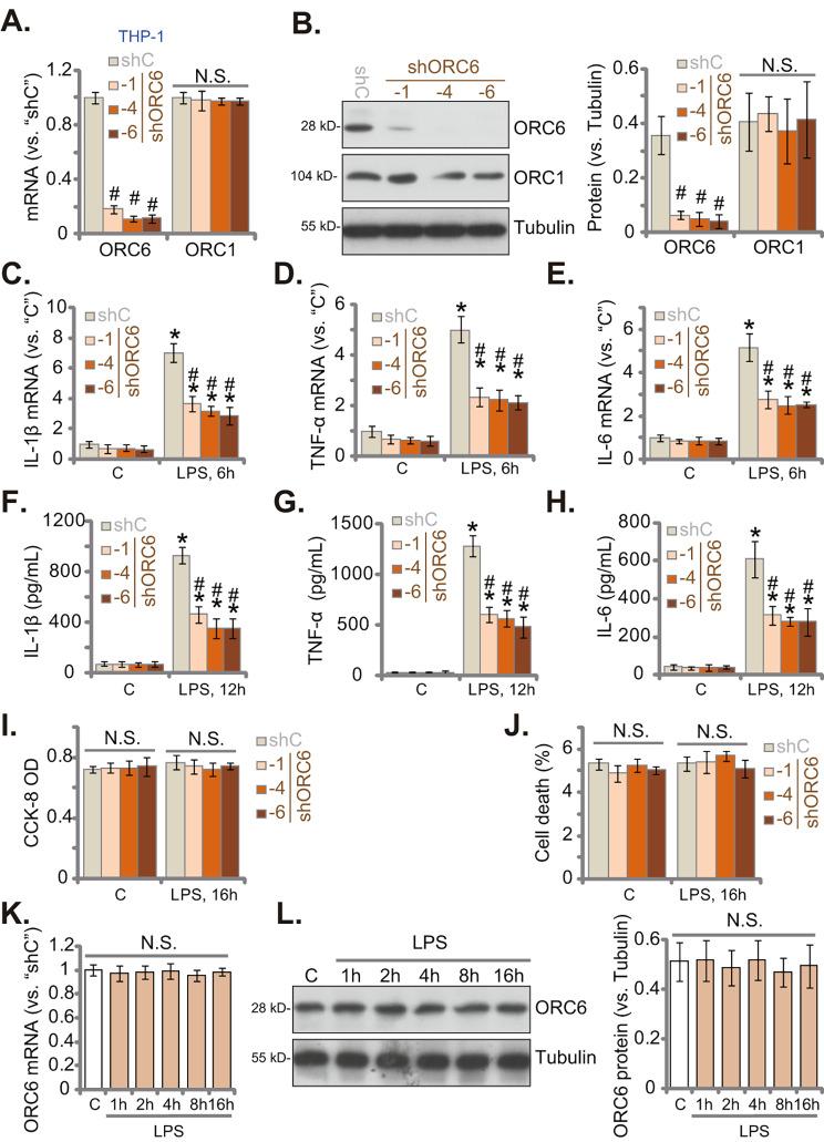 https://cdn.ncbi.nlm.nih.gov/pmc/blobs/2921/11323635/2a45c71ac3aa/12964_2024_1768_Fig1_HTML.jpg