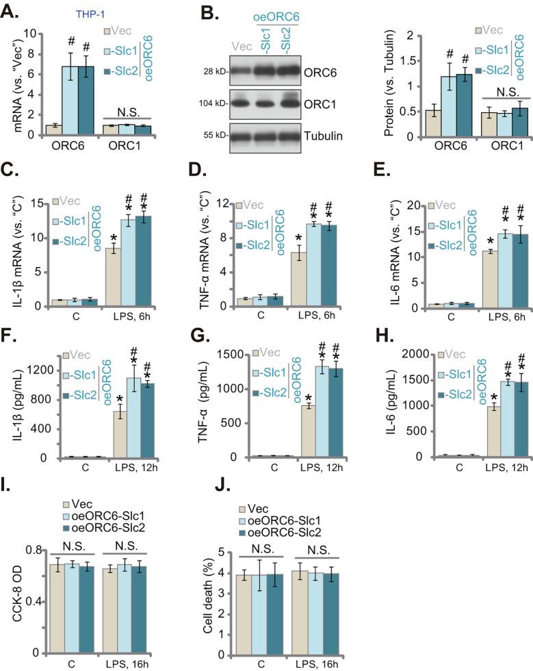 https://cdn.ncbi.nlm.nih.gov/pmc/blobs/2921/11323635/631a0f84d9c5/12964_2024_1768_Fig4_HTML.jpg
