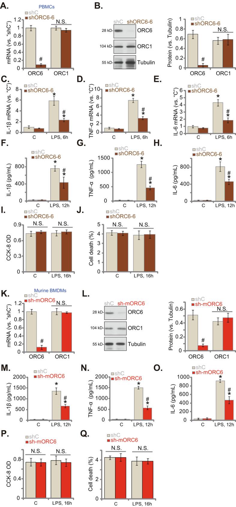 https://cdn.ncbi.nlm.nih.gov/pmc/blobs/2921/11323635/6e0a306a6575/12964_2024_1768_Fig2_HTML.jpg