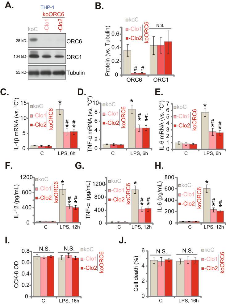 https://cdn.ncbi.nlm.nih.gov/pmc/blobs/2921/11323635/8fbdceeff09a/12964_2024_1768_Fig3_HTML.jpg