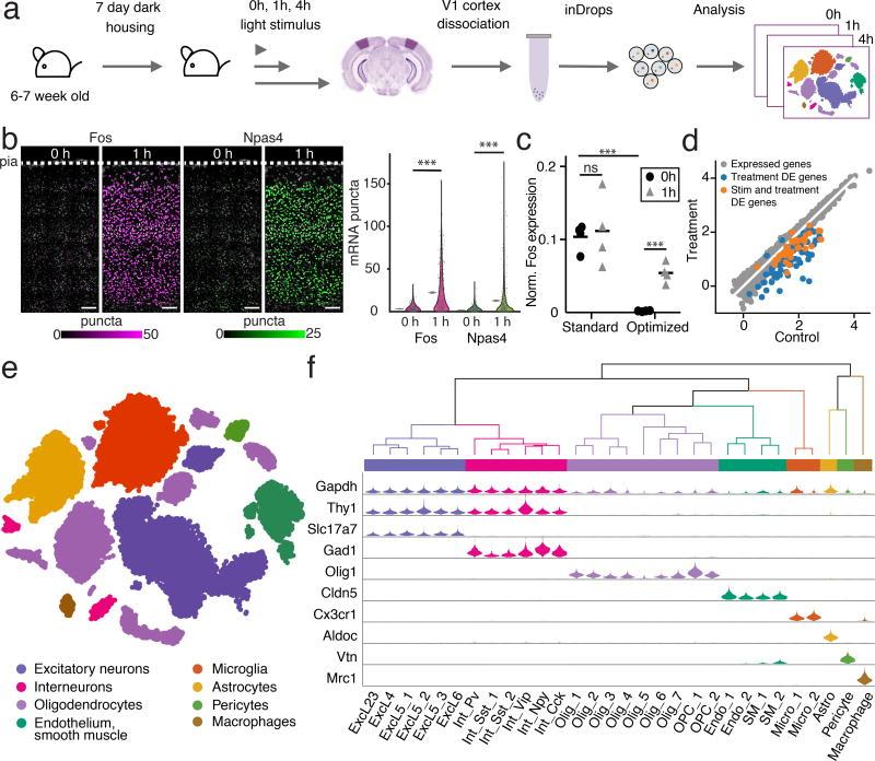 https://cdn.ncbi.nlm.nih.gov/pmc/blobs/2922/5742025/37d931700654/nihms917054f1.jpg