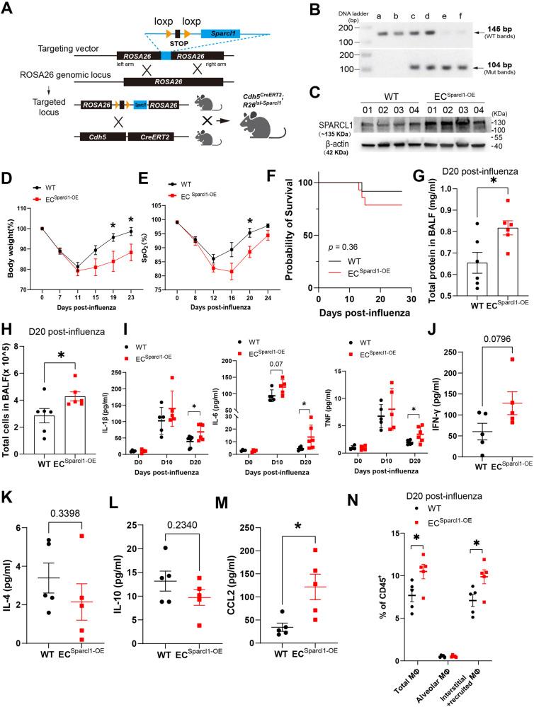 https://cdn.ncbi.nlm.nih.gov/pmc/blobs/2923/11102455/4c916bcc72c3/41467_2024_48589_Fig3_HTML.jpg