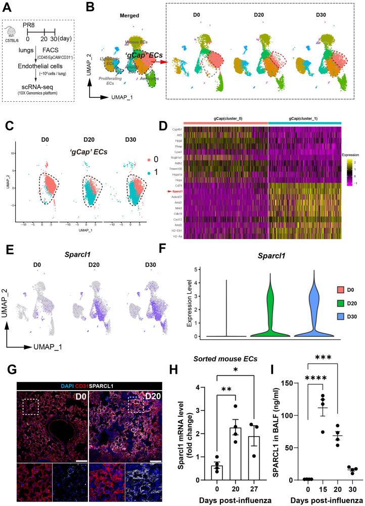 https://cdn.ncbi.nlm.nih.gov/pmc/blobs/2923/11102455/4f8408aab058/41467_2024_48589_Fig1_HTML.jpg
