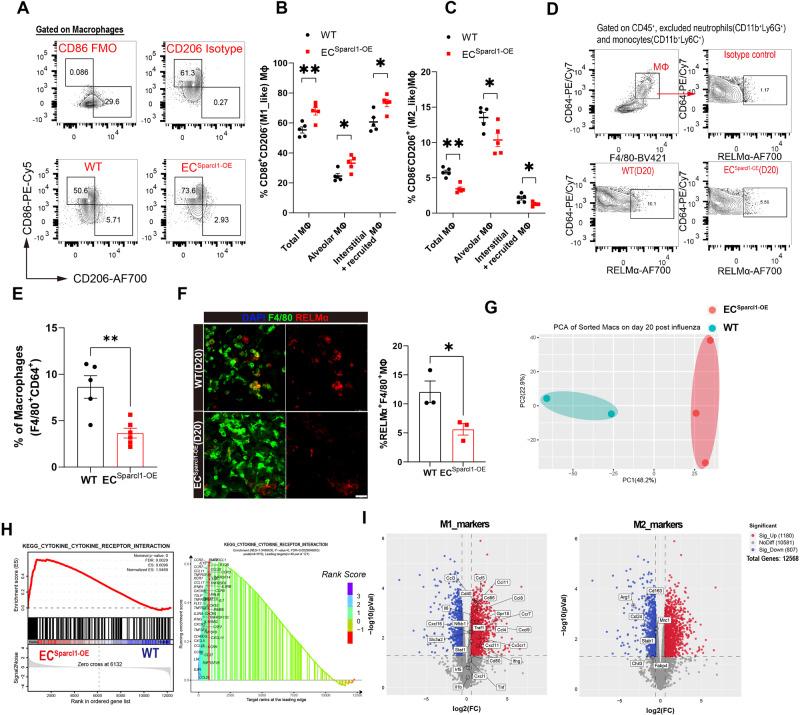 https://cdn.ncbi.nlm.nih.gov/pmc/blobs/2923/11102455/55c942476d93/41467_2024_48589_Fig4_HTML.jpg