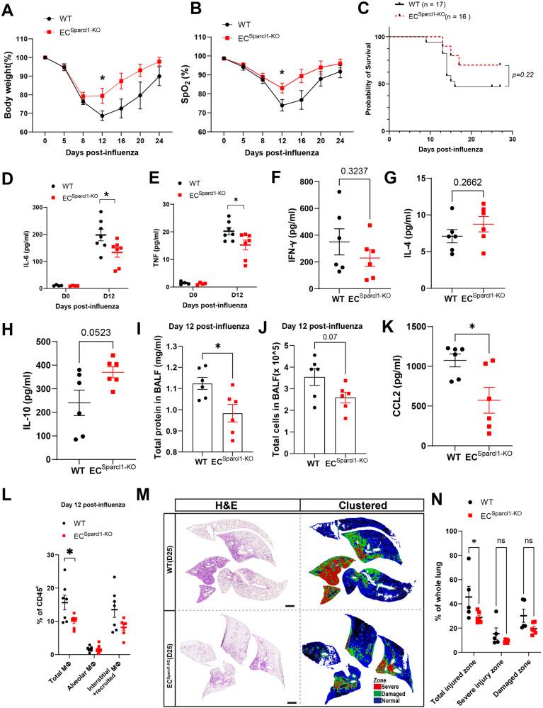 https://cdn.ncbi.nlm.nih.gov/pmc/blobs/2923/11102455/a7c4e1eb0d09/41467_2024_48589_Fig2_HTML.jpg