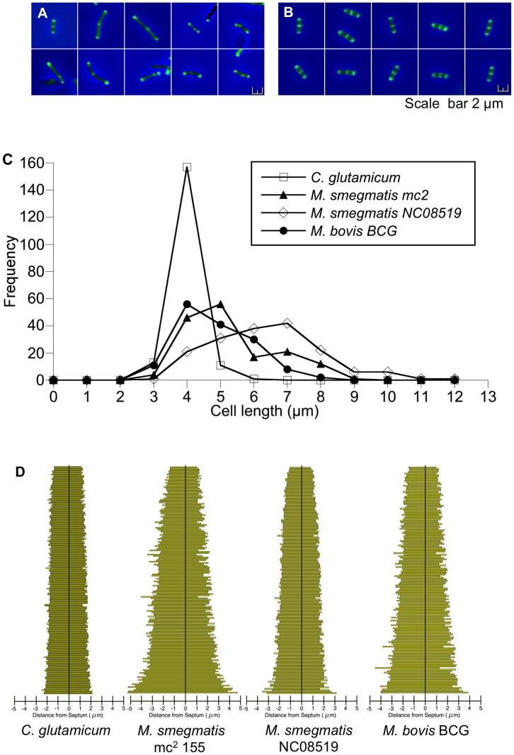https://cdn.ncbi.nlm.nih.gov/pmc/blobs/2923/3438161/160fa40c4996/pone.0044582.g001.jpg