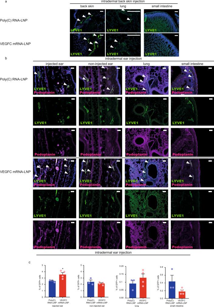 https://cdn.ncbi.nlm.nih.gov/pmc/blobs/2923/8187400/116671042bfe/41467_2021_23546_Fig4_HTML.jpg