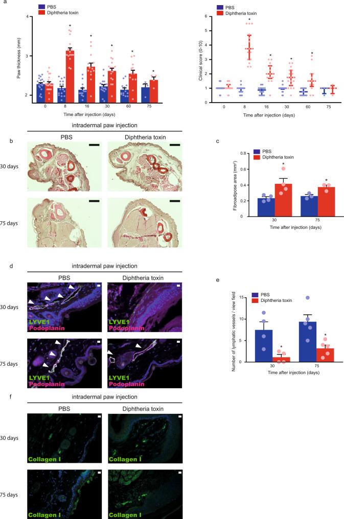 https://cdn.ncbi.nlm.nih.gov/pmc/blobs/2923/8187400/26a3da58bd70/41467_2021_23546_Fig7_HTML.jpg