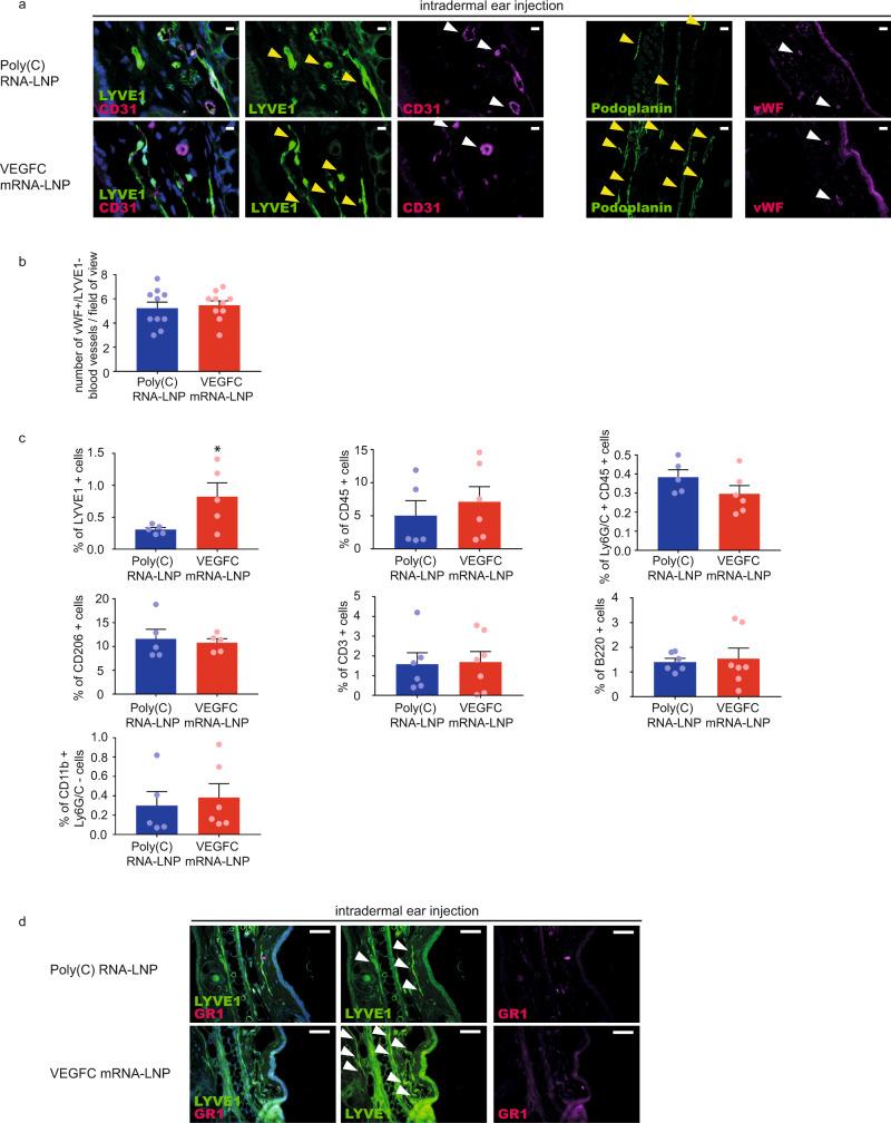https://cdn.ncbi.nlm.nih.gov/pmc/blobs/2923/8187400/2e64c9ff50b8/41467_2021_23546_Fig5_HTML.jpg