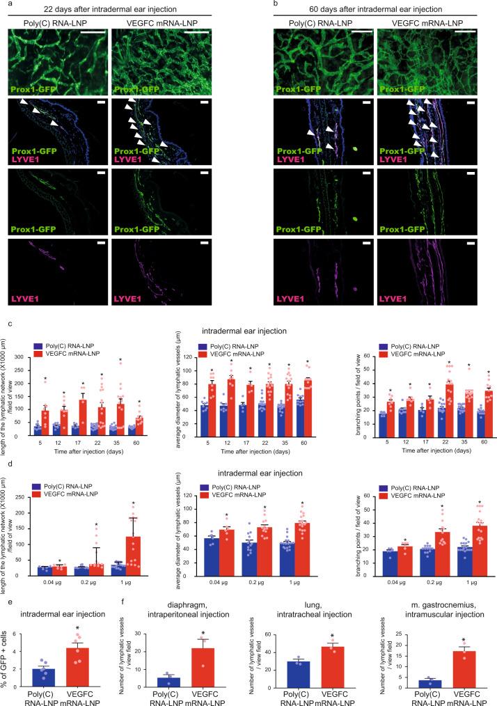 https://cdn.ncbi.nlm.nih.gov/pmc/blobs/2923/8187400/3bb62f2a3945/41467_2021_23546_Fig2_HTML.jpg