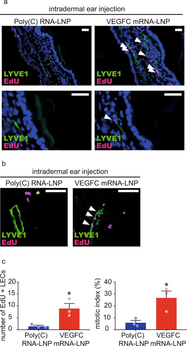 https://cdn.ncbi.nlm.nih.gov/pmc/blobs/2923/8187400/6e2baa0017b4/41467_2021_23546_Fig3_HTML.jpg