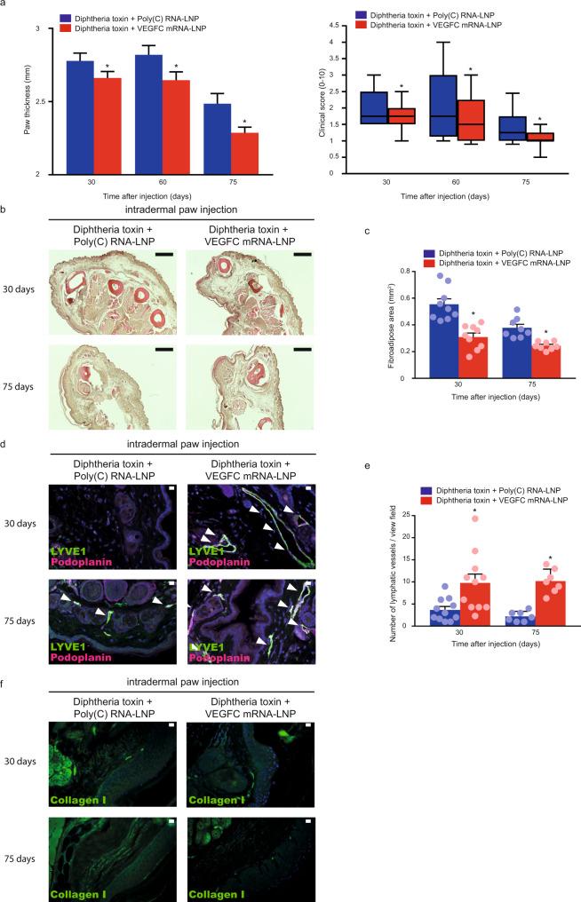 https://cdn.ncbi.nlm.nih.gov/pmc/blobs/2923/8187400/8d0cc68ad1dc/41467_2021_23546_Fig9_HTML.jpg
