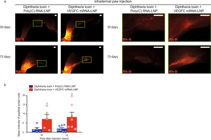 https://cdn.ncbi.nlm.nih.gov/pmc/blobs/2923/8187400/bcb07b51057d/41467_2021_23546_Fig10_HTML.jpg