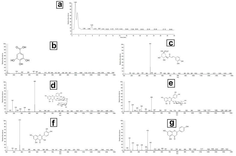 https://cdn.ncbi.nlm.nih.gov/pmc/blobs/2924/12114885/e5d187a0aef7/pharmaceutics-17-00611-g002.jpg