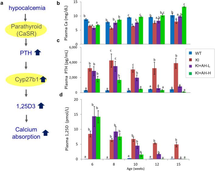 https://cdn.ncbi.nlm.nih.gov/pmc/blobs/2924/9307643/3ec214c85ec6/41598_2022_16819_Fig5_HTML.jpg