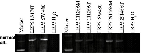 https://cdn.ncbi.nlm.nih.gov/pmc/blobs/2925/1523213/518c15bdda1a/1471-2164-7-148-7.jpg