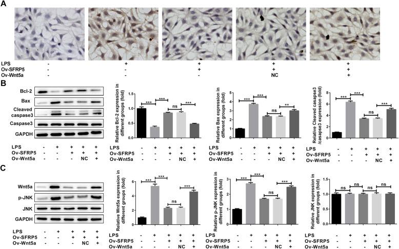 https://cdn.ncbi.nlm.nih.gov/pmc/blobs/2925/7877043/29791a1901a3/13018_2021_2260_Fig6_HTML.jpg