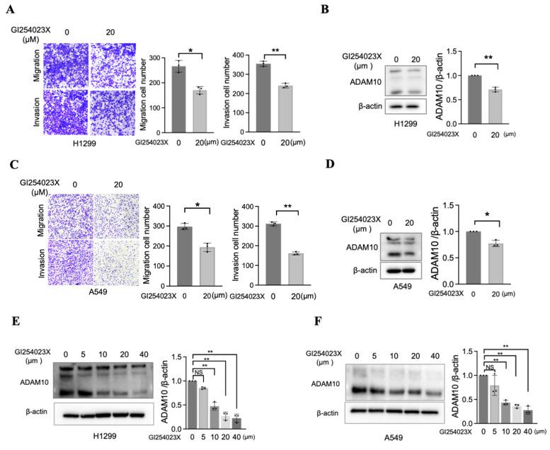 https://cdn.ncbi.nlm.nih.gov/pmc/blobs/2926/11843235/0198df036566/jcav16p1736g004.jpg
