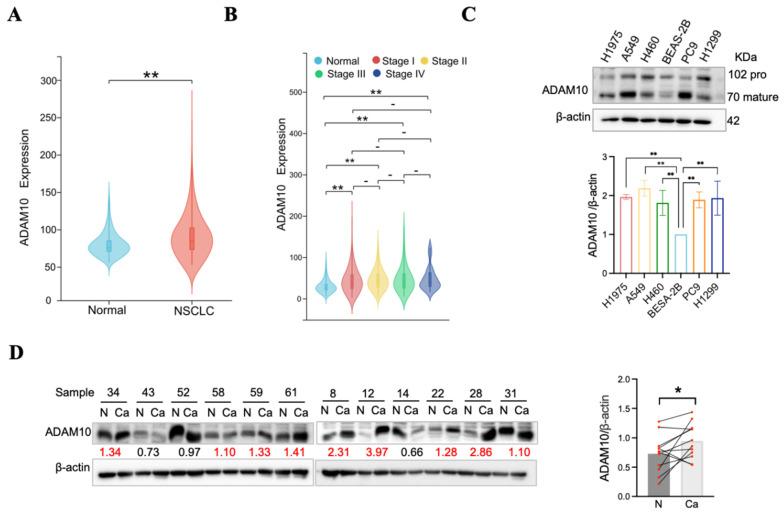 https://cdn.ncbi.nlm.nih.gov/pmc/blobs/2926/11843235/f4f0b2d1b45f/jcav16p1736g001.jpg