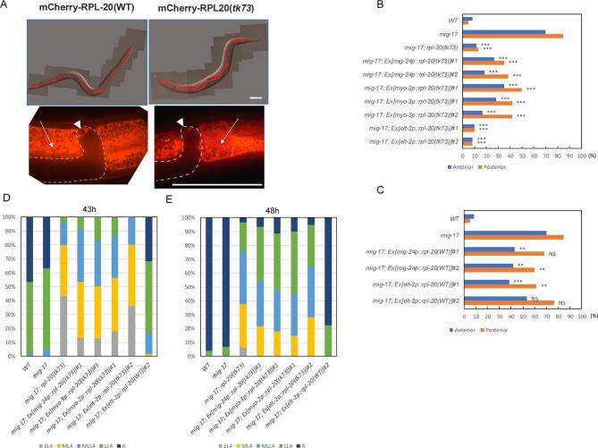 https://cdn.ncbi.nlm.nih.gov/pmc/blobs/2926/12280101/2cc31e9967c9/41598_2025_10316_Fig3_HTML.jpg