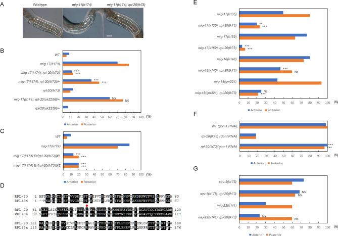 https://cdn.ncbi.nlm.nih.gov/pmc/blobs/2926/12280101/640ab76d228c/41598_2025_10316_Fig1_HTML.jpg