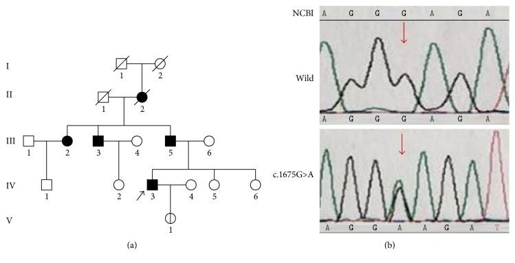 https://cdn.ncbi.nlm.nih.gov/pmc/blobs/2926/5591969/a054a31dcb12/BMRI2017-5809787.001.jpg