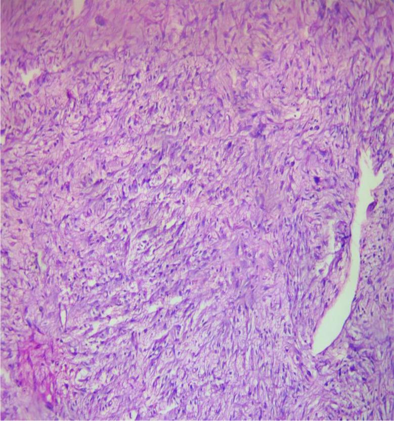 https://cdn.ncbi.nlm.nih.gov/pmc/blobs/2928/12053854/51a5e4180a58/12894_2025_1794_Fig2_HTML.jpg