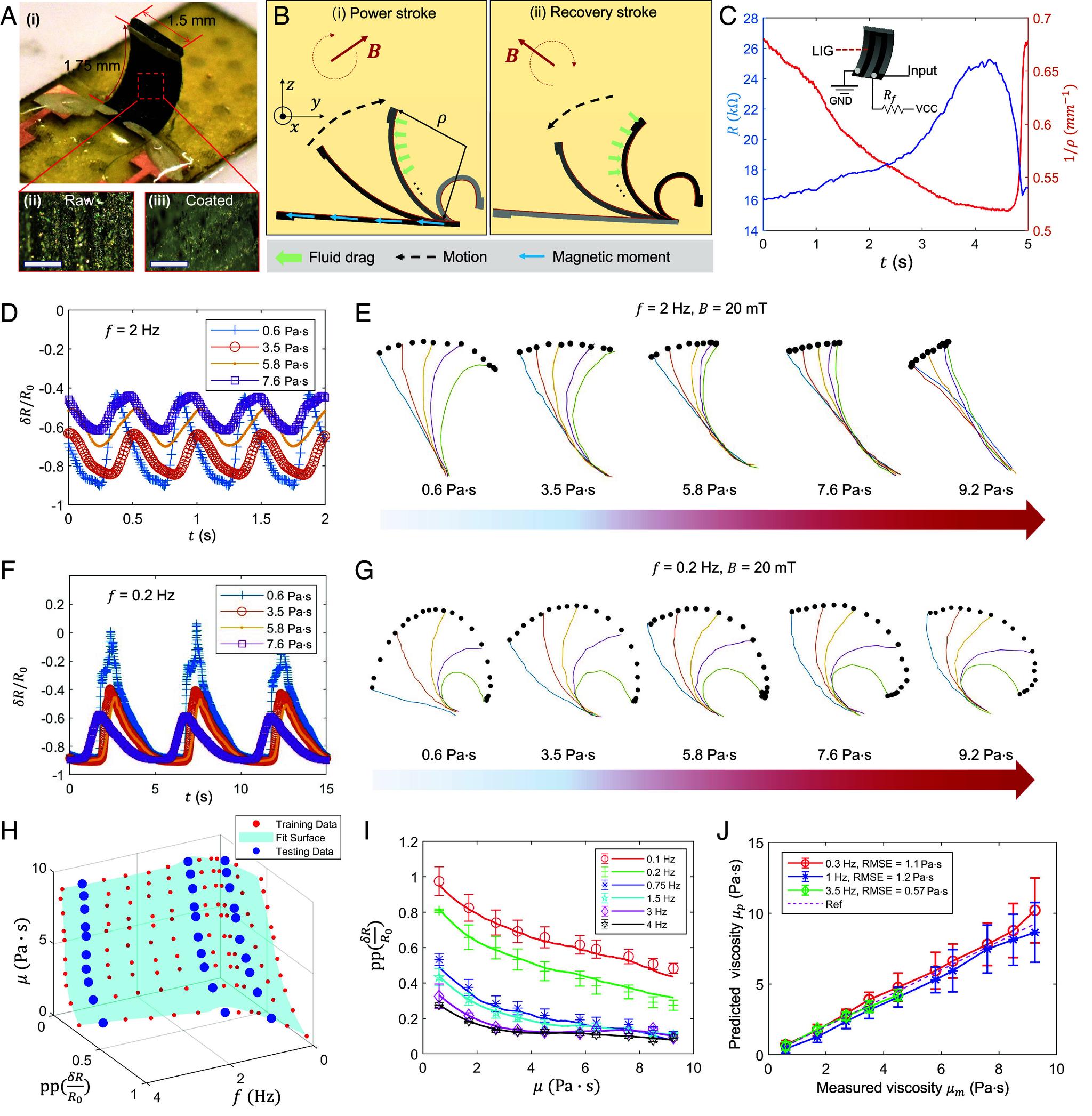 https://cdn.ncbi.nlm.nih.gov/pmc/blobs/292d/11573673/4a53c2ca7e75/pnas.2412086121fig02.jpg