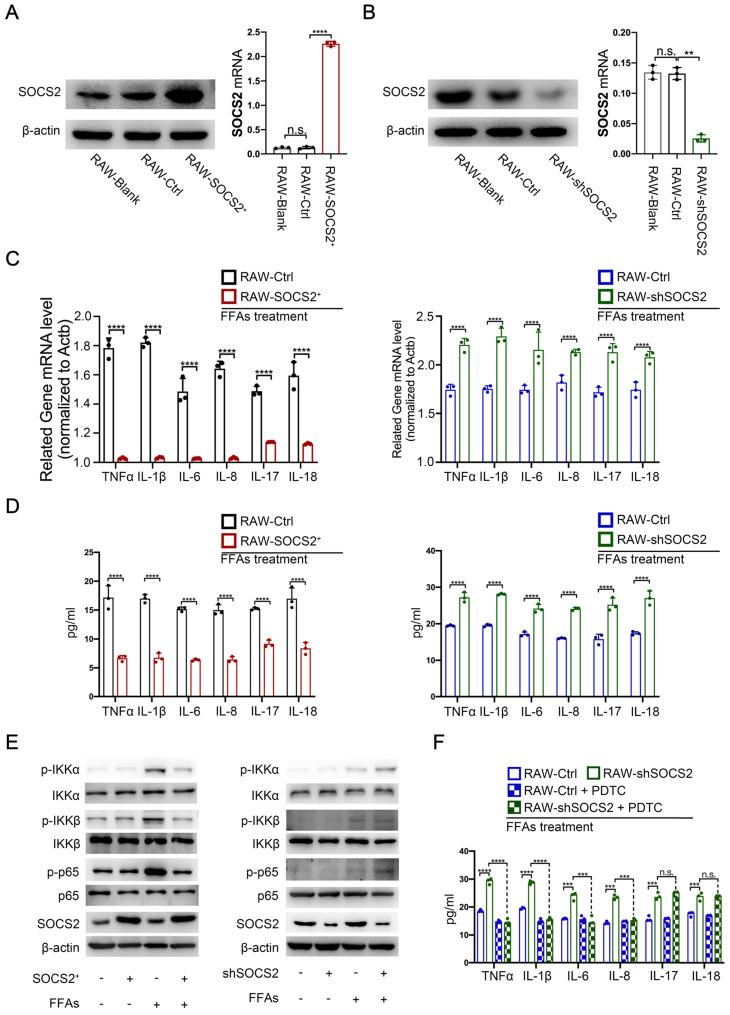 https://cdn.ncbi.nlm.nih.gov/pmc/blobs/292d/8579457/9bbabc9baaeb/ijbsv17p4165g002.jpg