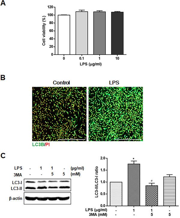 https://cdn.ncbi.nlm.nih.gov/pmc/blobs/292e/9290715/1456e58237c9/JPER-93-380-g001.jpg