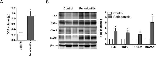 https://cdn.ncbi.nlm.nih.gov/pmc/blobs/292e/9290715/6eb42ecaee35/JPER-93-380-g004.jpg