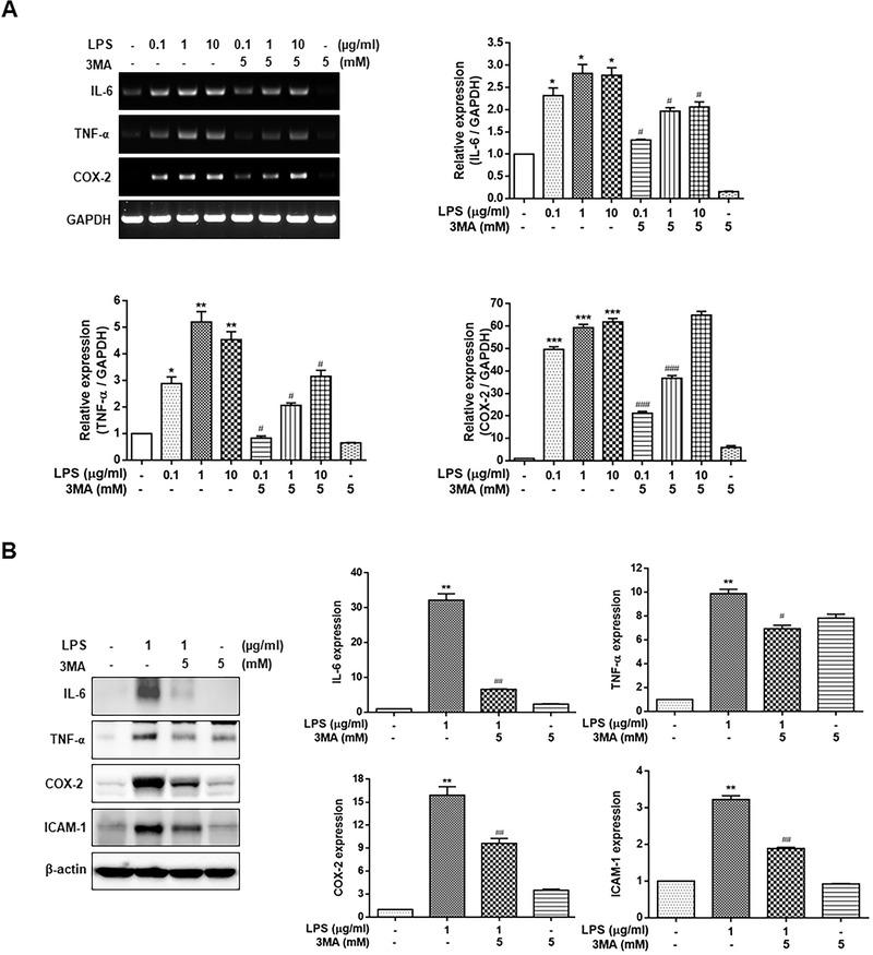 https://cdn.ncbi.nlm.nih.gov/pmc/blobs/292e/9290715/ddf7c1a39d9d/JPER-93-380-g003.jpg