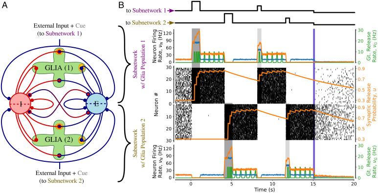 https://cdn.ncbi.nlm.nih.gov/pmc/blobs/292f/9618090/35cfbdf0e0a6/pnas.2207912119fig04.jpg