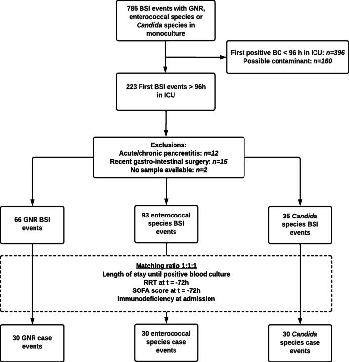 https://cdn.ncbi.nlm.nih.gov/pmc/blobs/2930/11133278/73f4b7499863/40635_2024_634_Fig1_HTML.jpg