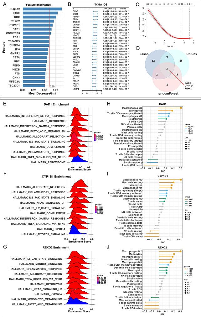 https://cdn.ncbi.nlm.nih.gov/pmc/blobs/2931/12175387/20aae25ba51b/12967_2025_6682_Fig6_HTML.jpg