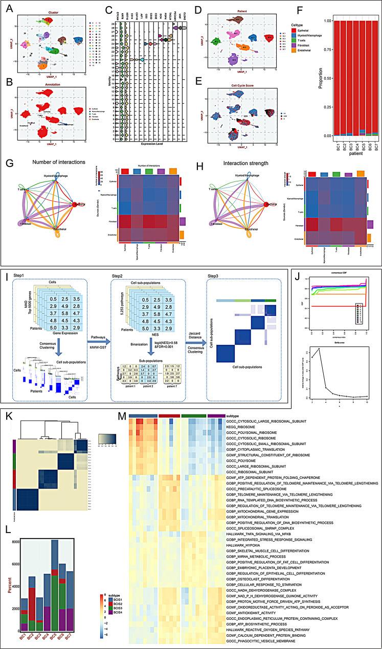https://cdn.ncbi.nlm.nih.gov/pmc/blobs/2931/12175387/2d478a5f77b6/12967_2025_6682_Fig2_HTML.jpg