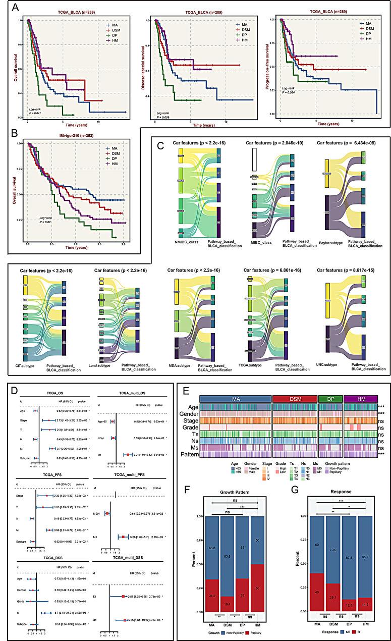 https://cdn.ncbi.nlm.nih.gov/pmc/blobs/2931/12175387/b836087e66ed/12967_2025_6682_Fig3_HTML.jpg