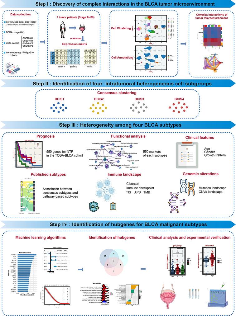 https://cdn.ncbi.nlm.nih.gov/pmc/blobs/2931/12175387/f32710e7990a/12967_2025_6682_Fig1_HTML.jpg