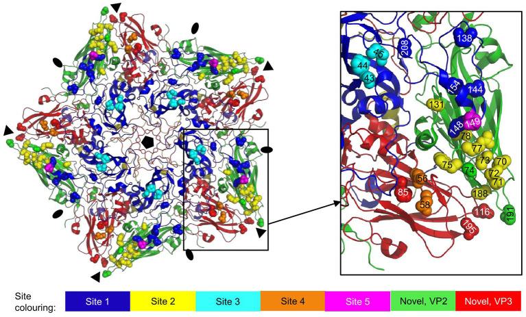 https://cdn.ncbi.nlm.nih.gov/pmc/blobs/2931/9869066/2577233d85a5/fvets-09-1040802-g0007.jpg