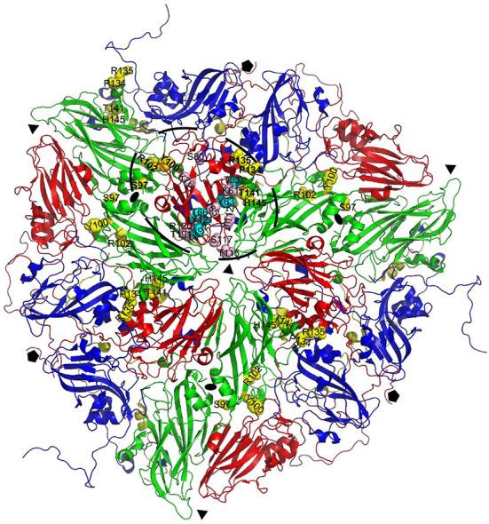 https://cdn.ncbi.nlm.nih.gov/pmc/blobs/2931/9869066/c7bfe2c21724/fvets-09-1040802-g0003.jpg