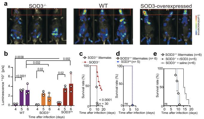 https://cdn.ncbi.nlm.nih.gov/pmc/blobs/2934/11162418/1d76837051e6/41467_2024_49348_Fig2_HTML.jpg
