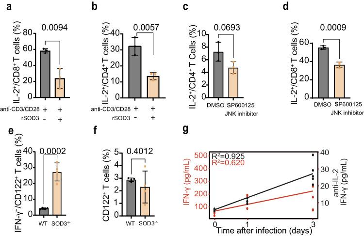 https://cdn.ncbi.nlm.nih.gov/pmc/blobs/2934/11162418/324aa33ebab1/41467_2024_49348_Fig5_HTML.jpg