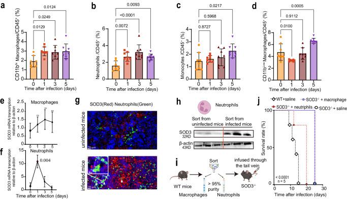https://cdn.ncbi.nlm.nih.gov/pmc/blobs/2934/11162418/86faf62f7dc7/41467_2024_49348_Fig6_HTML.jpg