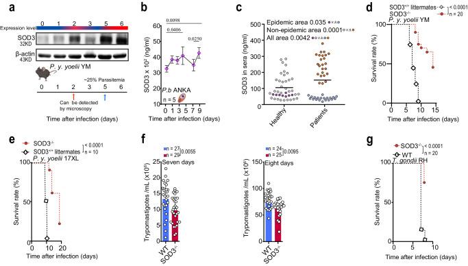 https://cdn.ncbi.nlm.nih.gov/pmc/blobs/2934/11162418/b0fca63b0b2e/41467_2024_49348_Fig1_HTML.jpg