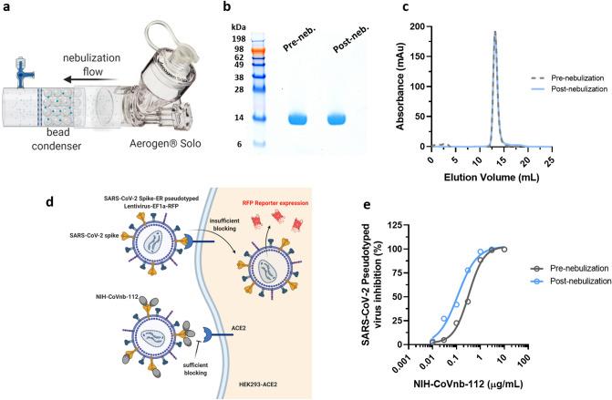 https://cdn.ncbi.nlm.nih.gov/pmc/blobs/2934/7755911/aeb522837efc/41598_2020_79036_Fig6_HTML.jpg