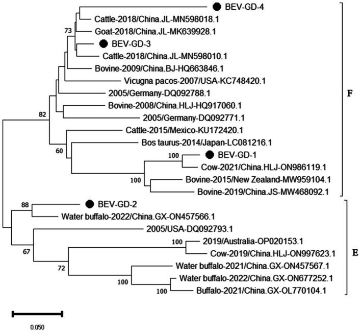 https://cdn.ncbi.nlm.nih.gov/pmc/blobs/2936/11439775/52f1964b6436/fmicb-15-1441419-g006.jpg