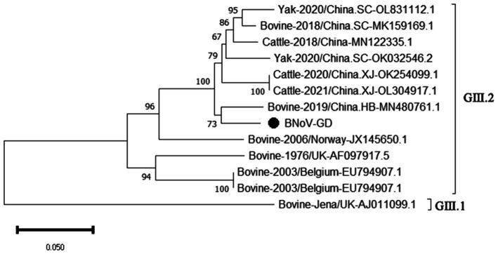 https://cdn.ncbi.nlm.nih.gov/pmc/blobs/2936/11439775/f9b69a79e44c/fmicb-15-1441419-g008.jpg