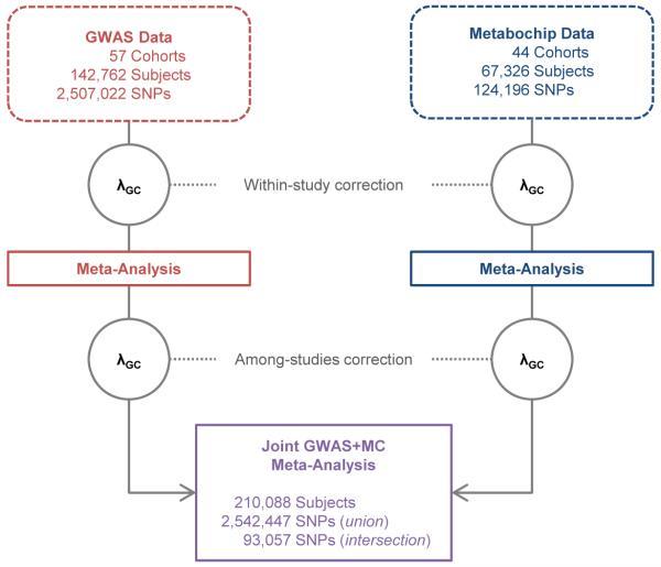 https://cdn.ncbi.nlm.nih.gov/pmc/blobs/293a/4338562/1745ce2e3016/emss-61357-f0001.jpg